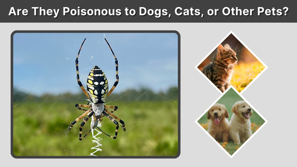 Are They Poisonous to Dogs, Cats, or Other Pets