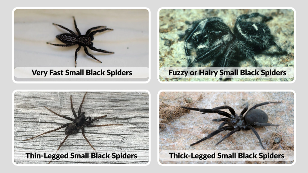 Movement-Based Identification Fast, Fuzzy, Thin Legs, Thick Legs