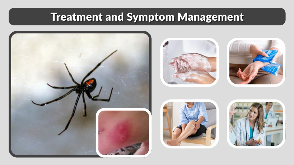 Treatment and Symptom Management