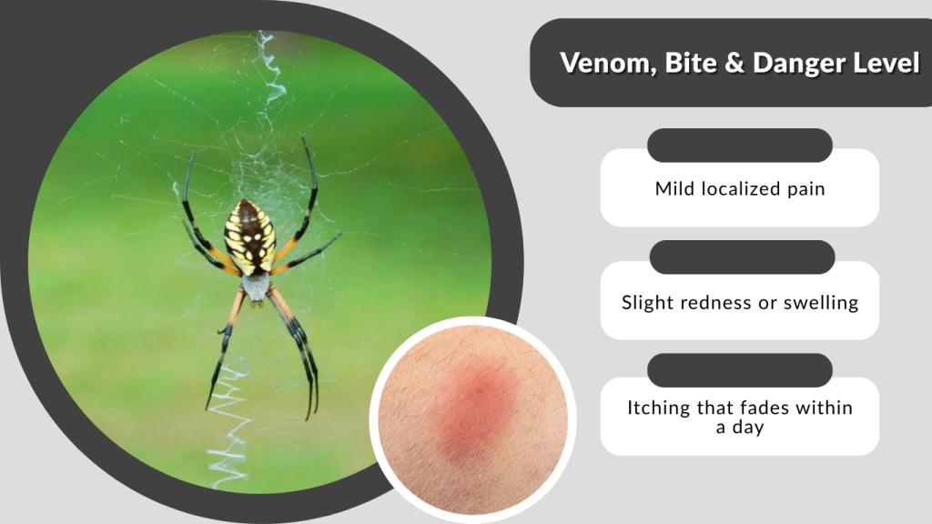 Venom, Bite & Danger Level