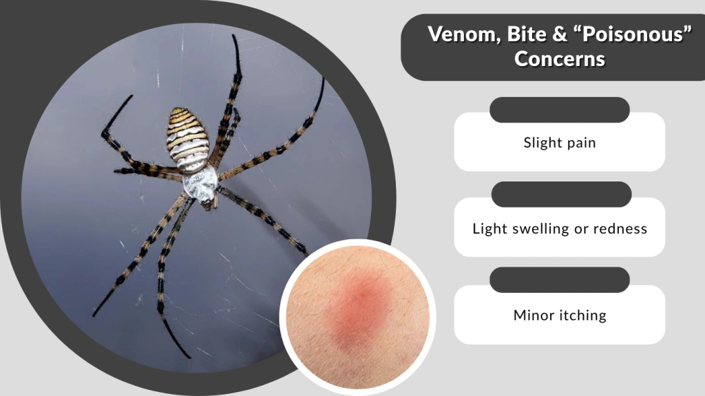 Venom, Bite & “Poisonous” Concerns