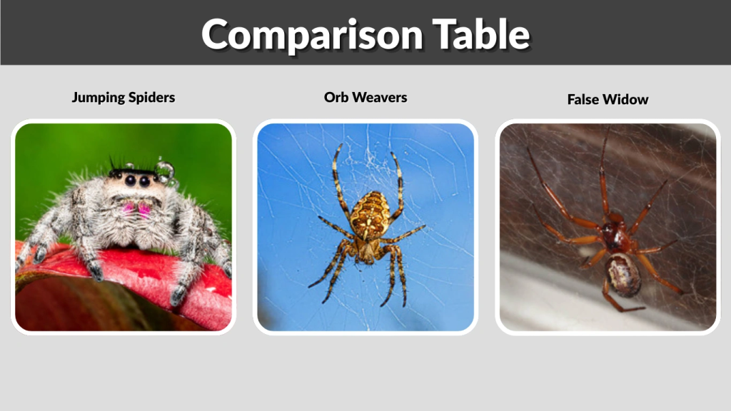 Comparison Table