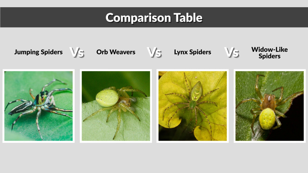 Comparison Table