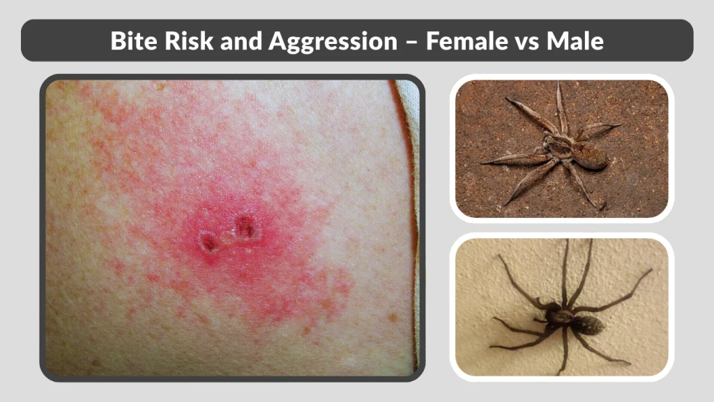 Bite Risk and Aggression – Female vs Male