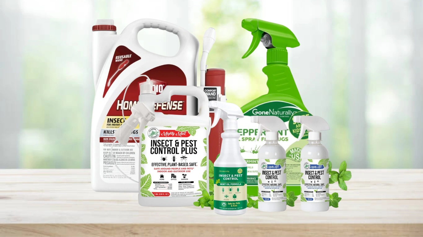 11 Best Spider Killer Sprays for Indoors (Safe & Effective Picks)