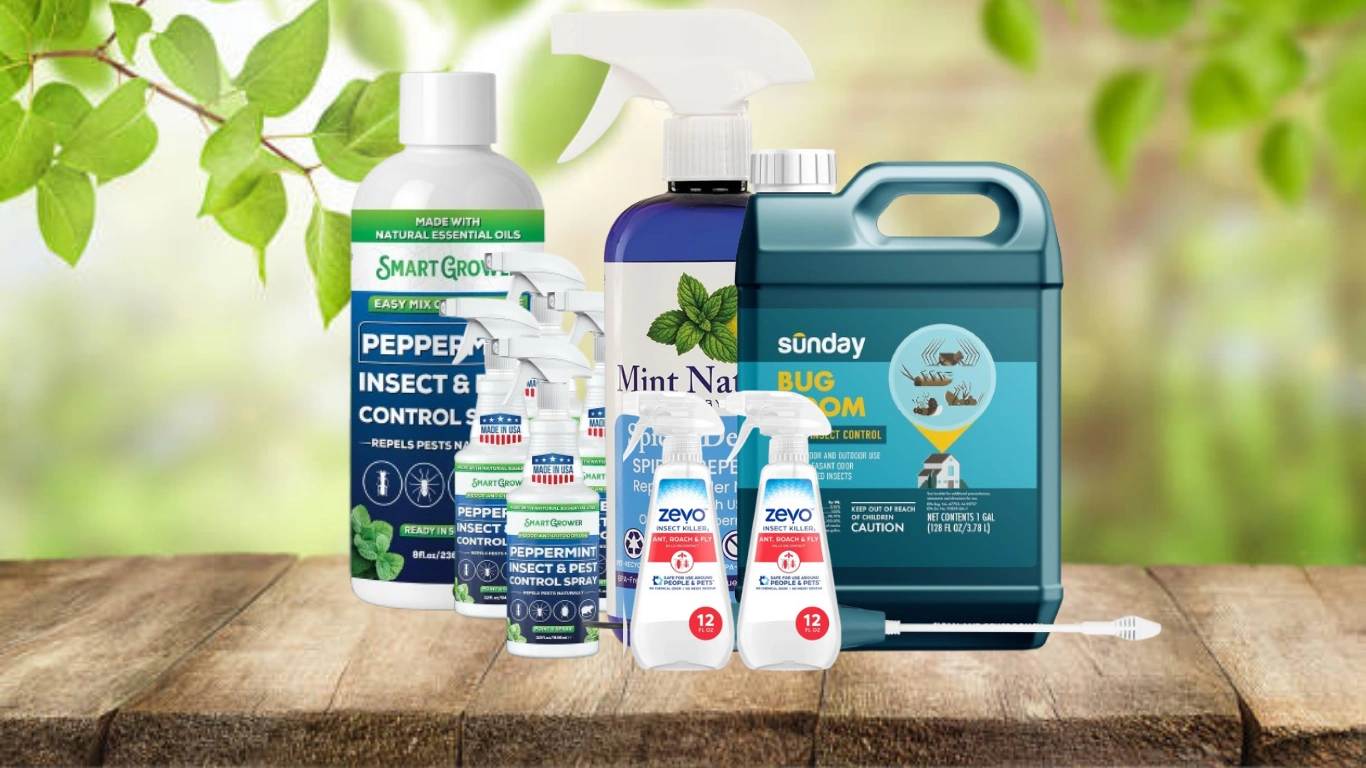 14 Best Spider Sprays for Outdoor Use