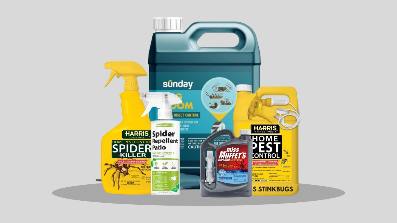 9 Best Spider Killer Sprays for Outdoor Use (2026 Guide)