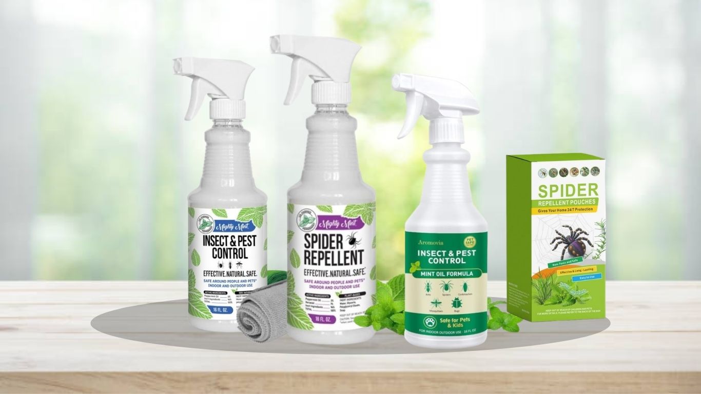 6 Best Spider Repellents for Your Home That Actually Work