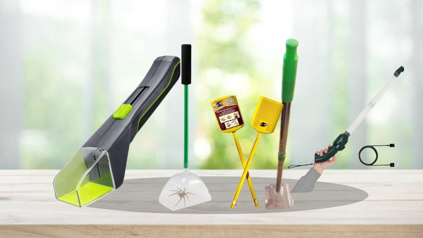 8 Best Spider Catchers for Safe and Easy Bug Removal