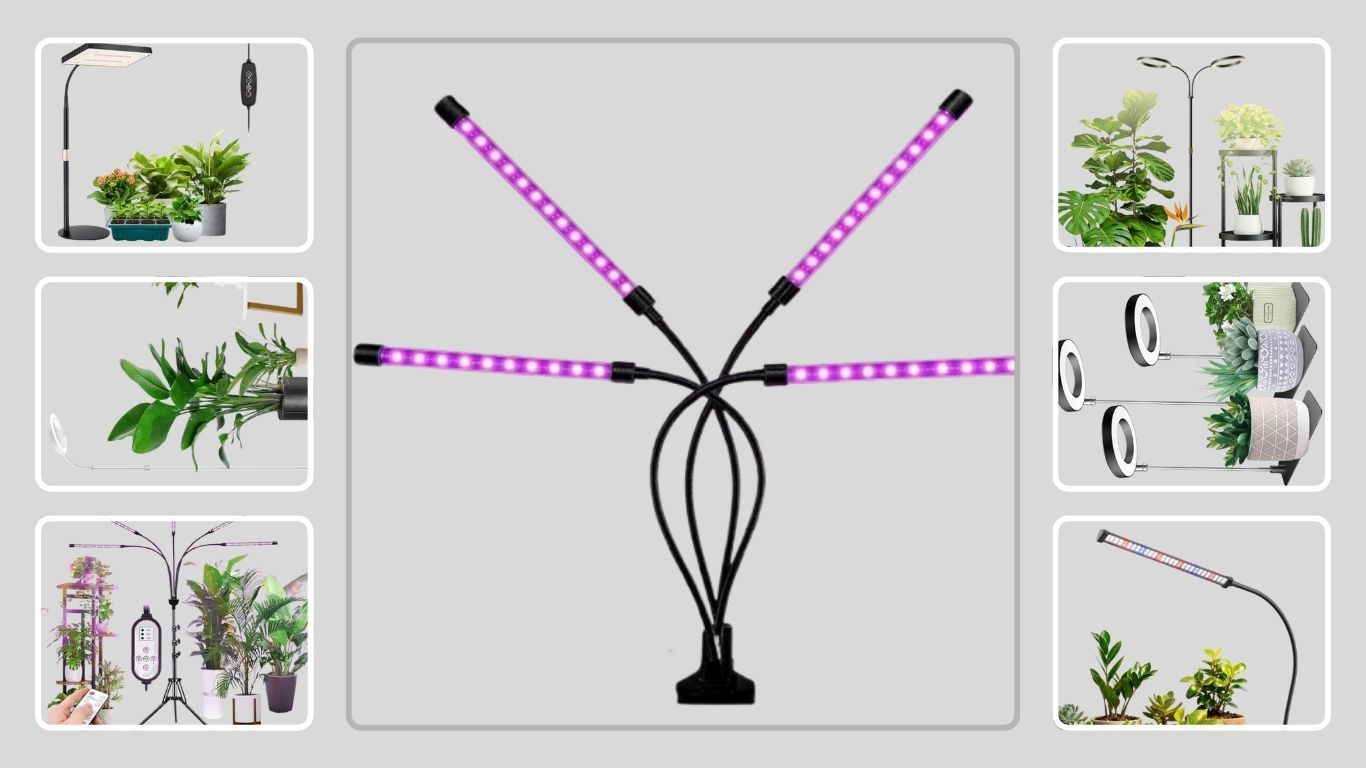 11 Best Grow Lights for Spider Plants