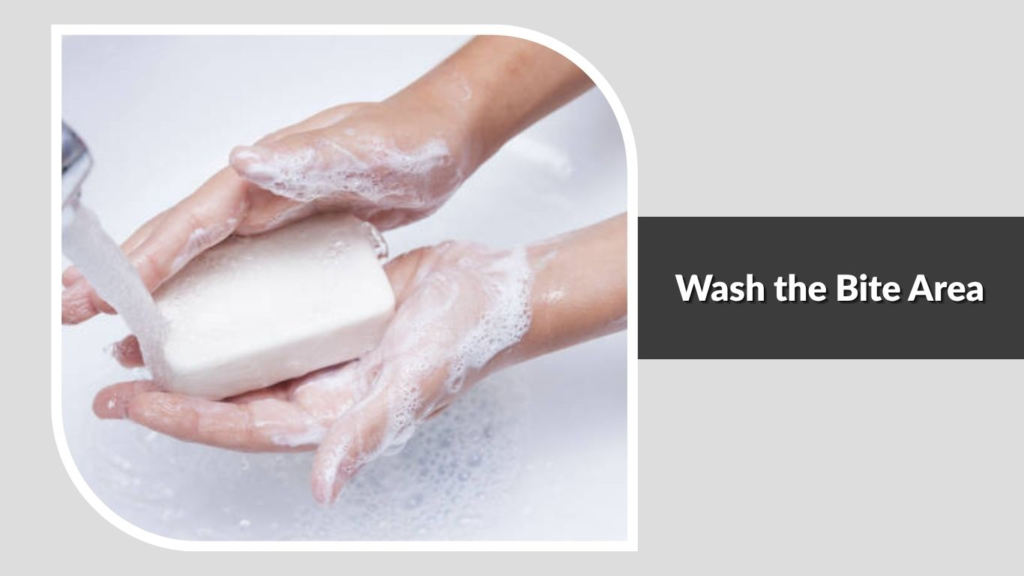 Wash the Bite Area