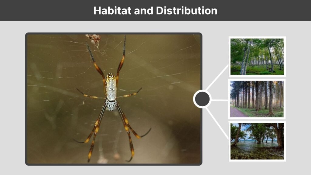 Habitat and Distribution