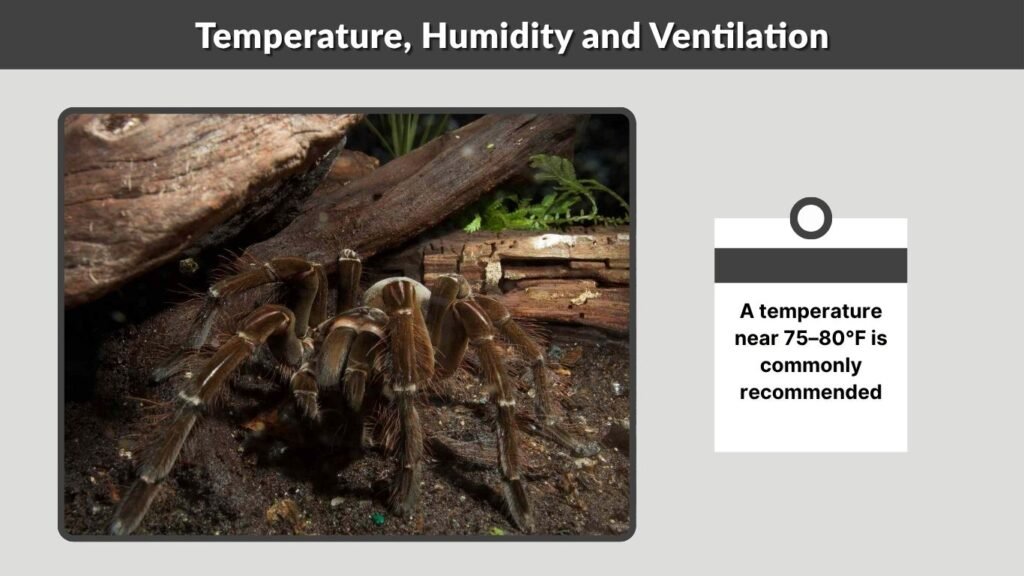 Temperature, Humidity and Ventilation