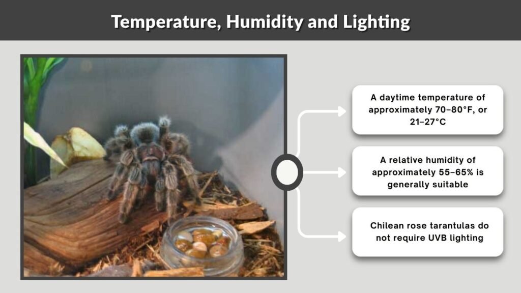 Temperature, Humidity and Lighting