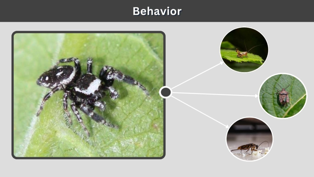 Behavior