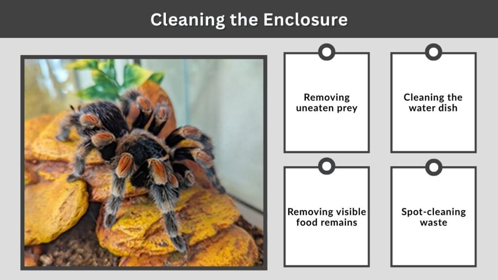 Cleaning the Enclosure