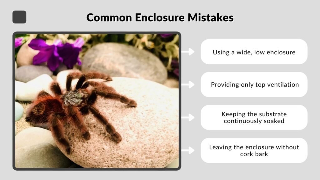 Common Enclosure Mistakes