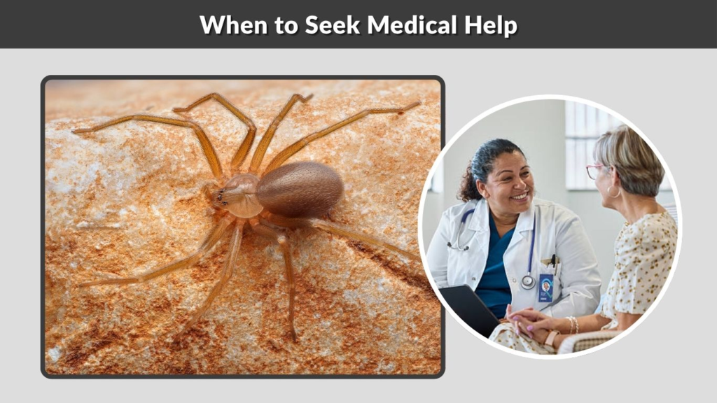 When to Seek Medical Help