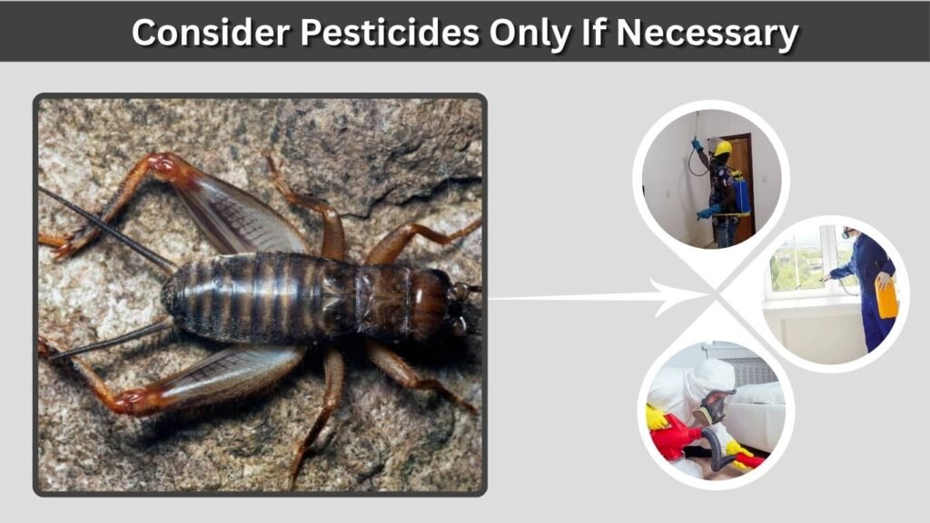 Consider Pesticides Only If Necessary