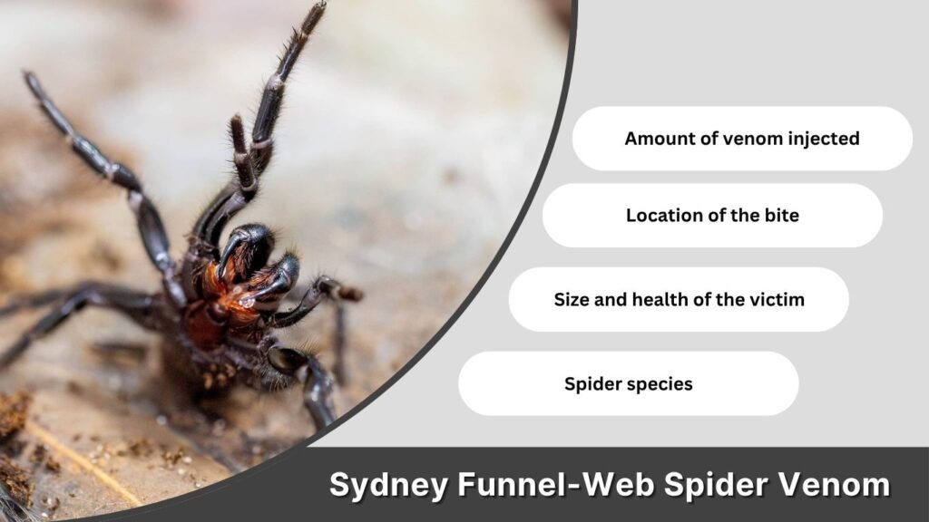 Sydney Funnel-Web Spider Venom