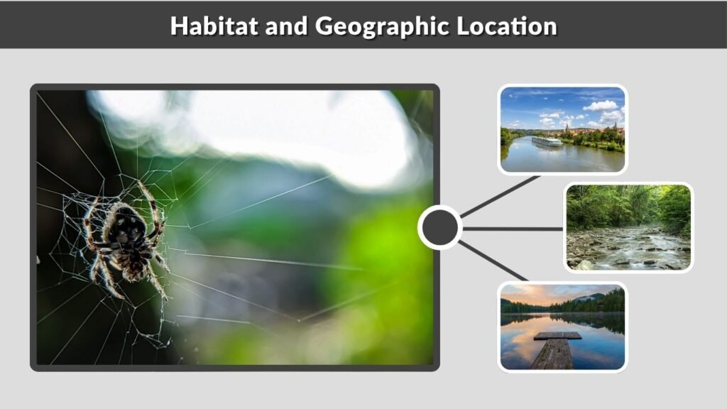 Habitat and Geographic Location
