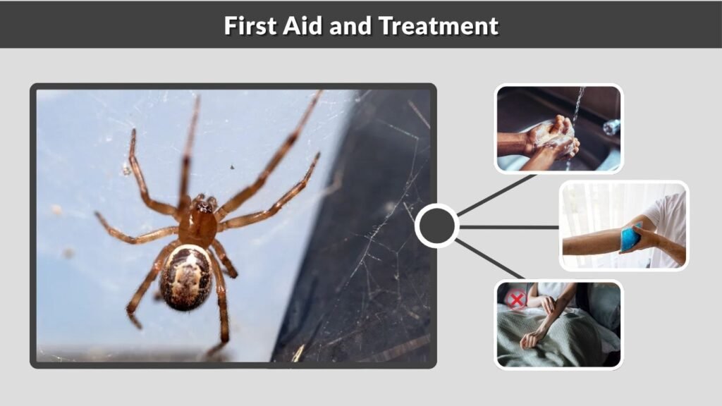 First Aid and Treatment