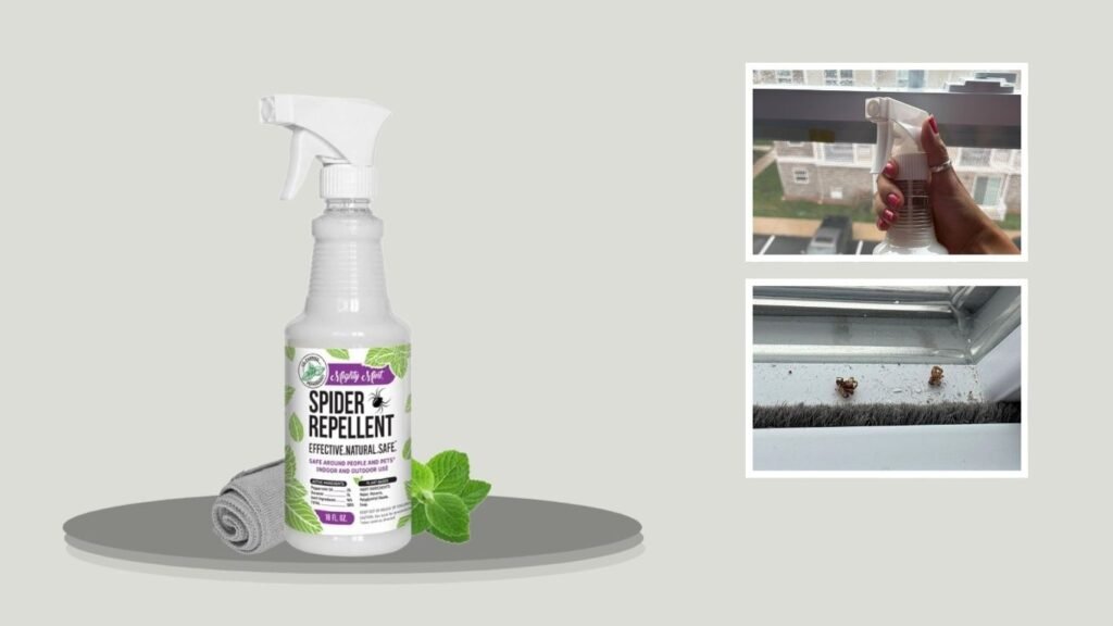 Mighty Mint Spider Repellent Peppermint Spray
