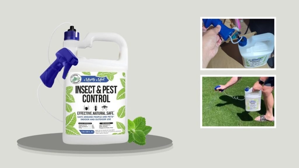 Mighty Mint Gallon Peppermint Spider Control Spray