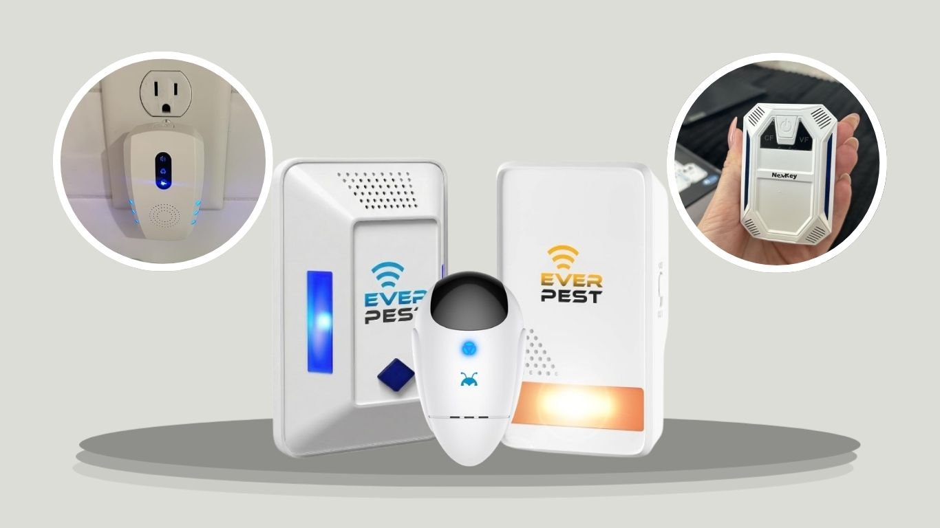 11 Best Ultrasonic Spider Repellents for Home Use