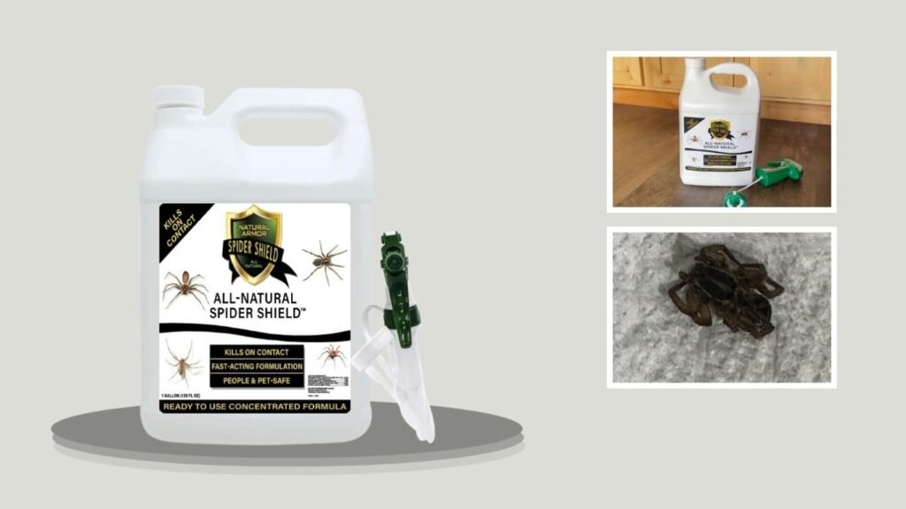 Spider Killer & Repellent Spray