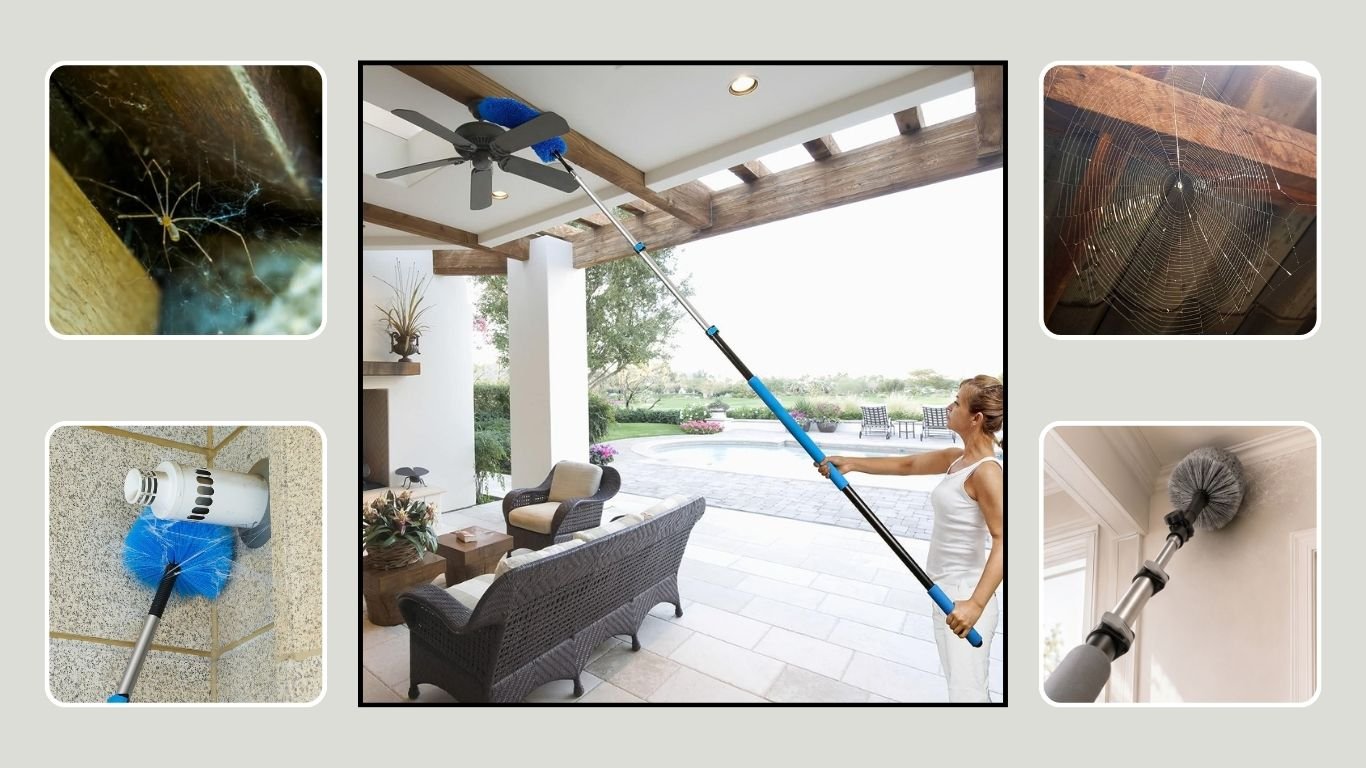 10 Best Spider Web Removal Brushes for Easy Cleaning
