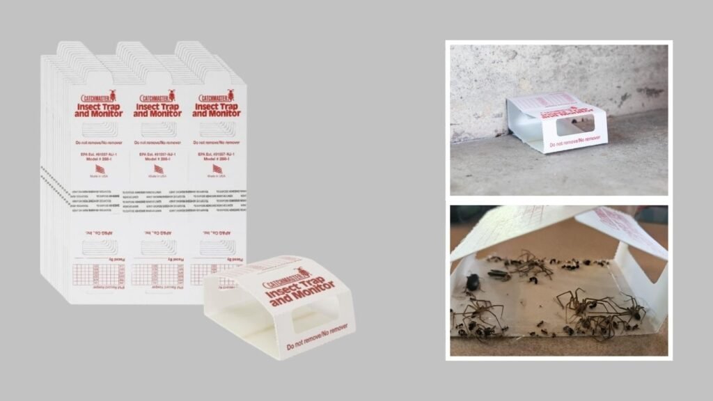 Catchmaster Brown Recluse Spider & Insect Glue Traps