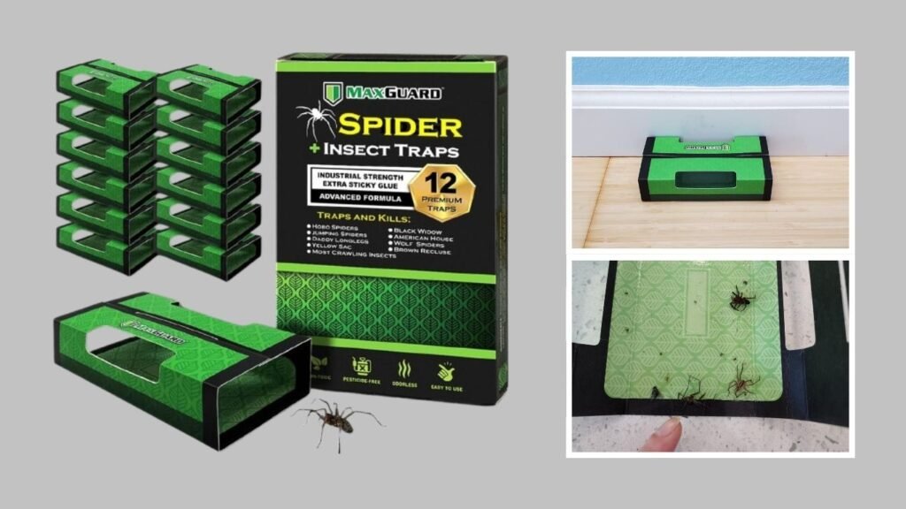 MaxGuard Non-Toxic Spider & Crawling Insect Traps