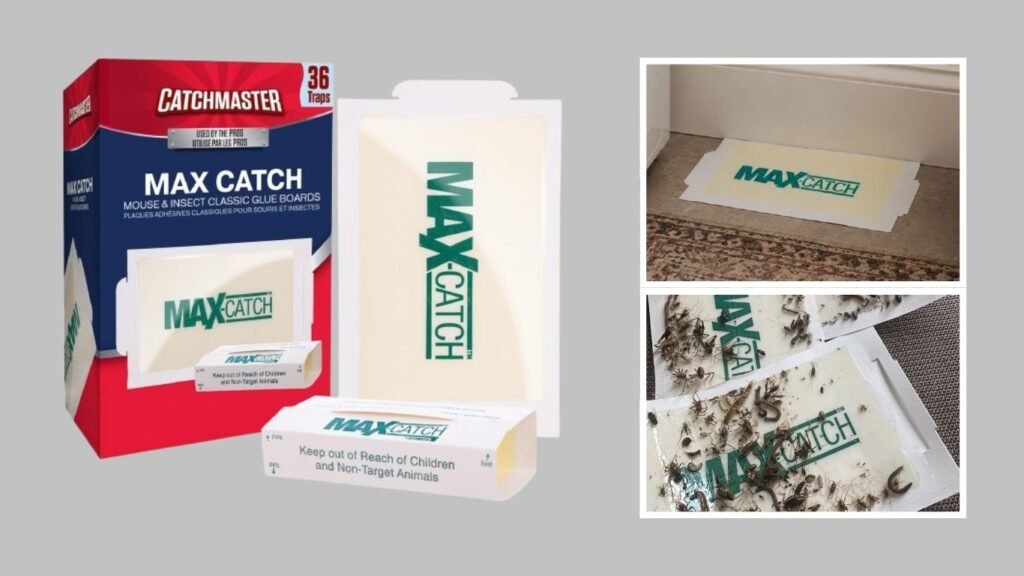Indoor Sticky Glue Traps for Spiders, Mice & Insects