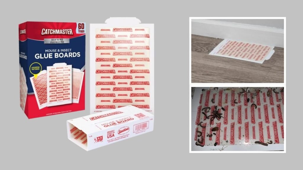 Indoor Glue Boards for Spiders, Mice & Insects