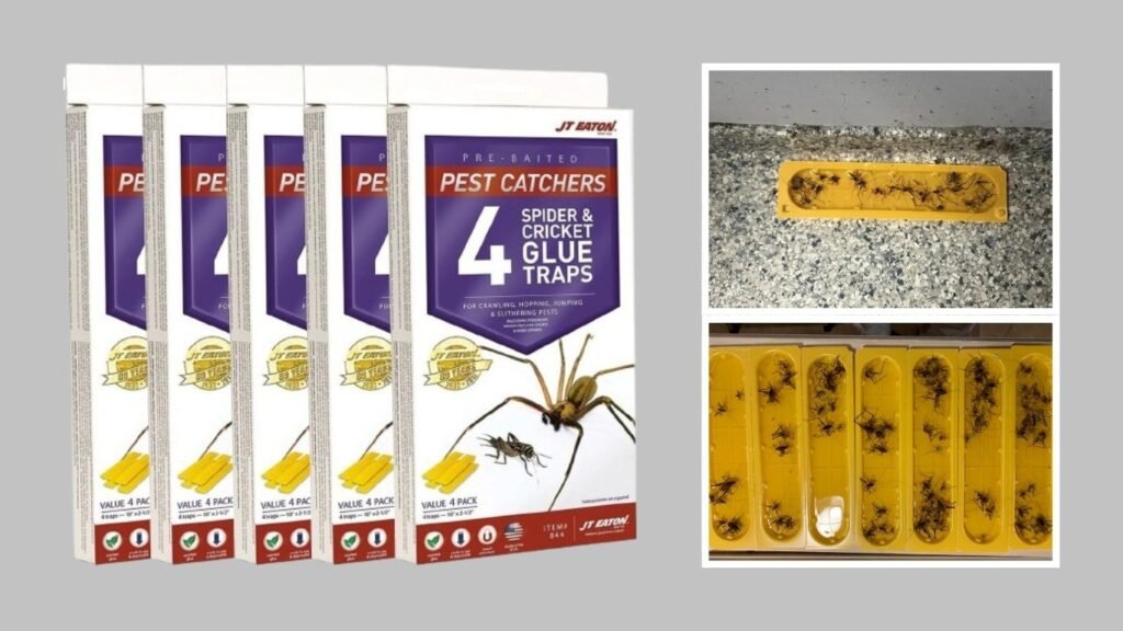 JT Eaton Spider & Cricket Glue Traps