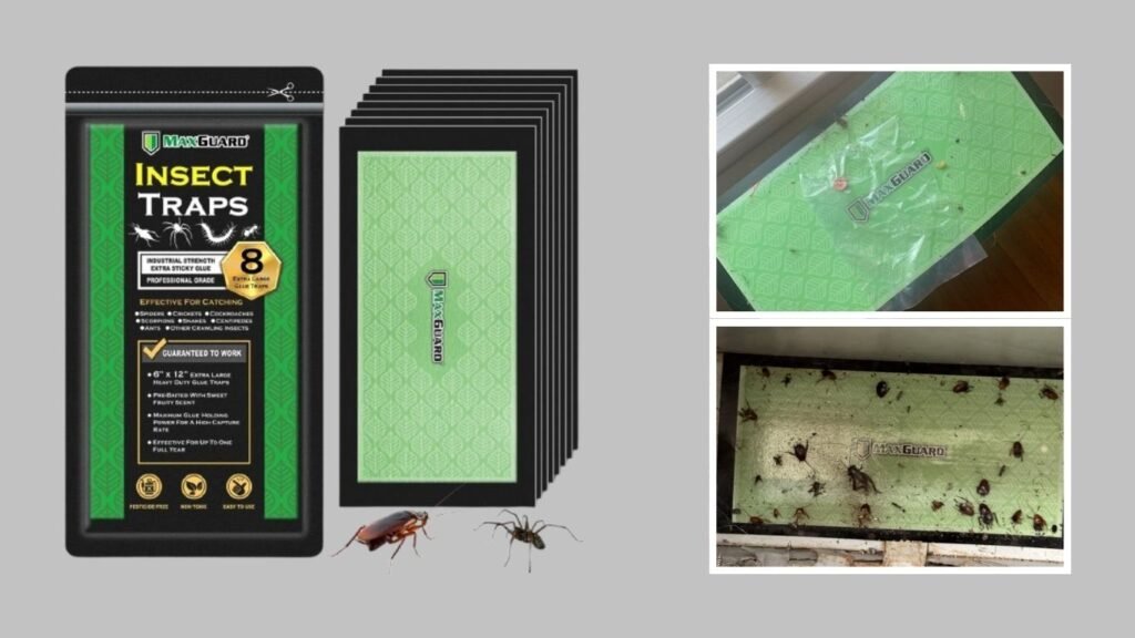 Non-Toxic Pre-Baited Spider & Crawling Insect Traps