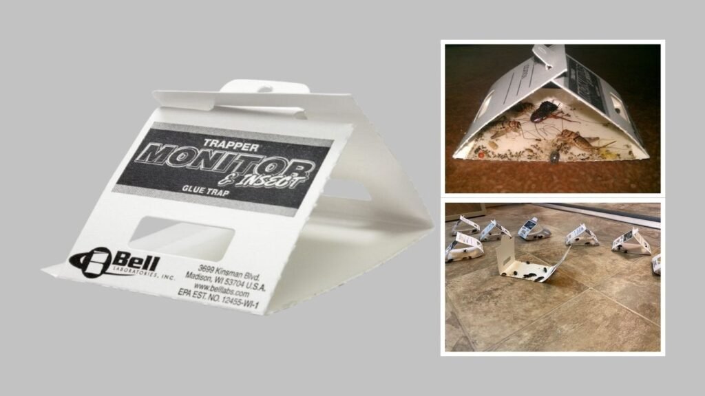 Trapper Insect Traps for Spiders & Cockroaches