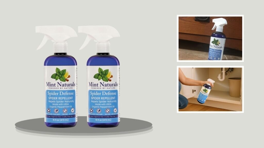Natural Peppermint Spider Repellent Spray