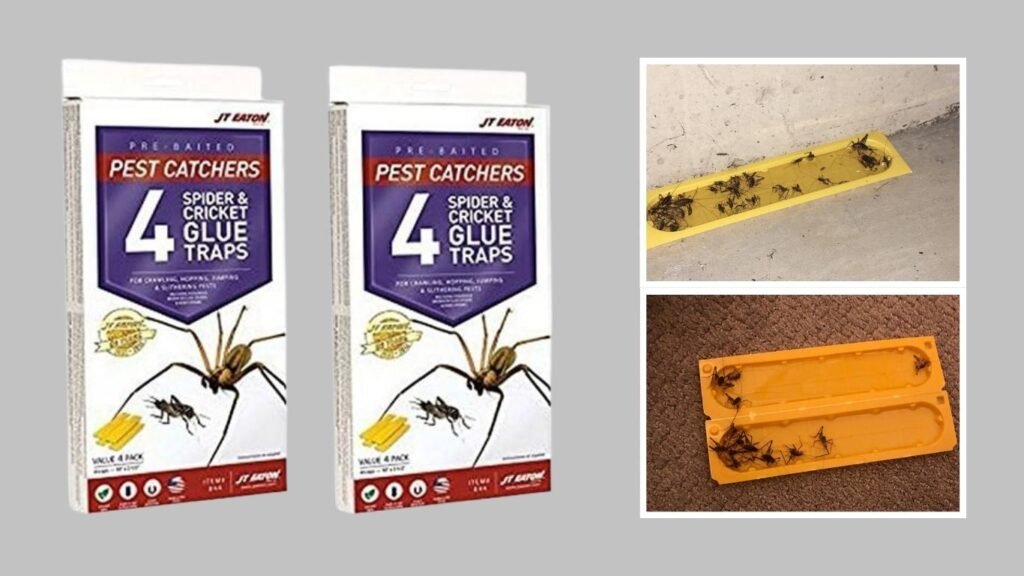 JT Eaton Spider Catchers with Attractant