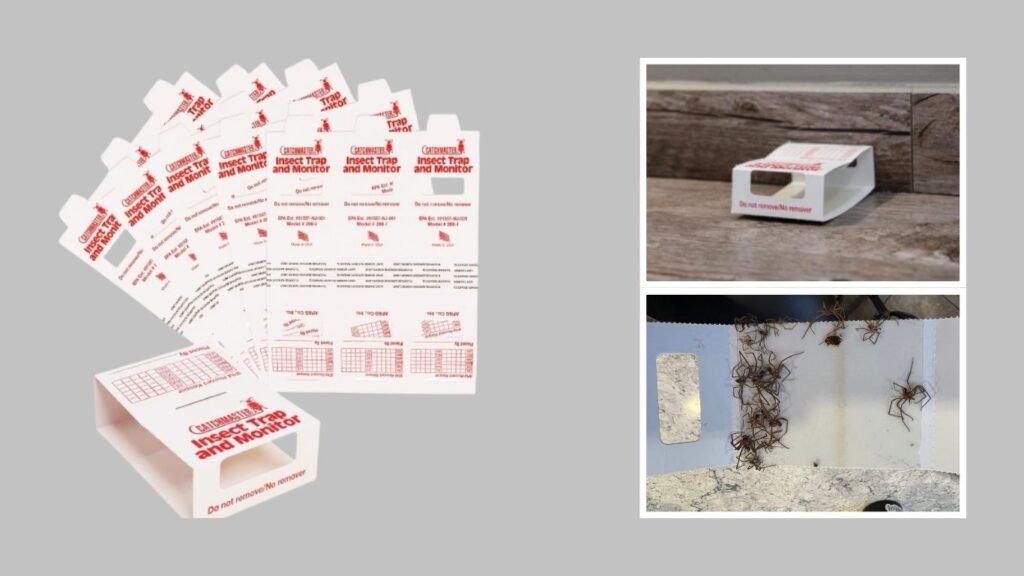 14. Catchmaster 288i Insect & Spider Glue Traps