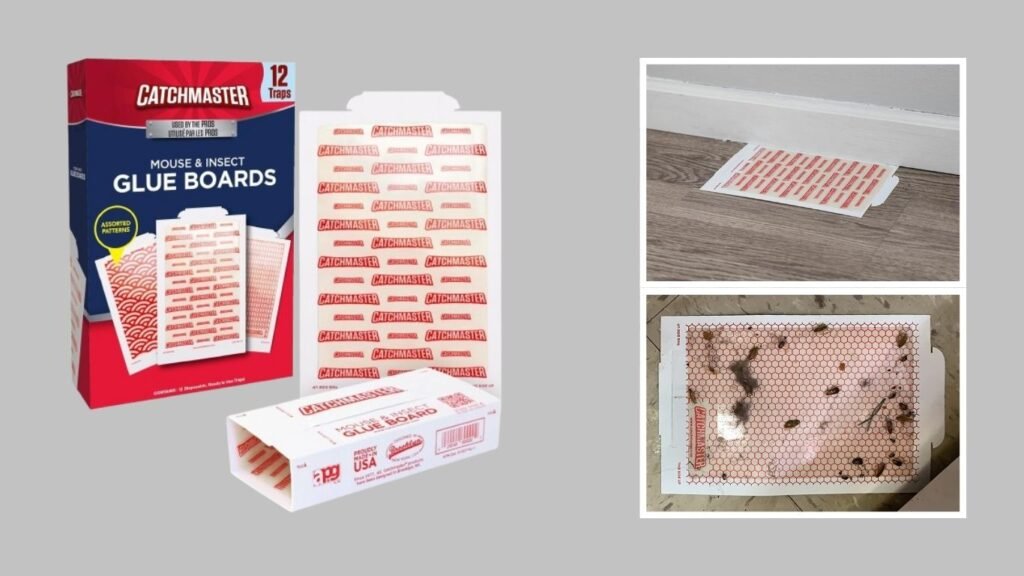 Indoor Glue Traps for Spiders, Mice & Crawling Pests