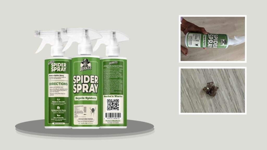 Burke’s Spider Repellent Indoor & Outdoor Spray