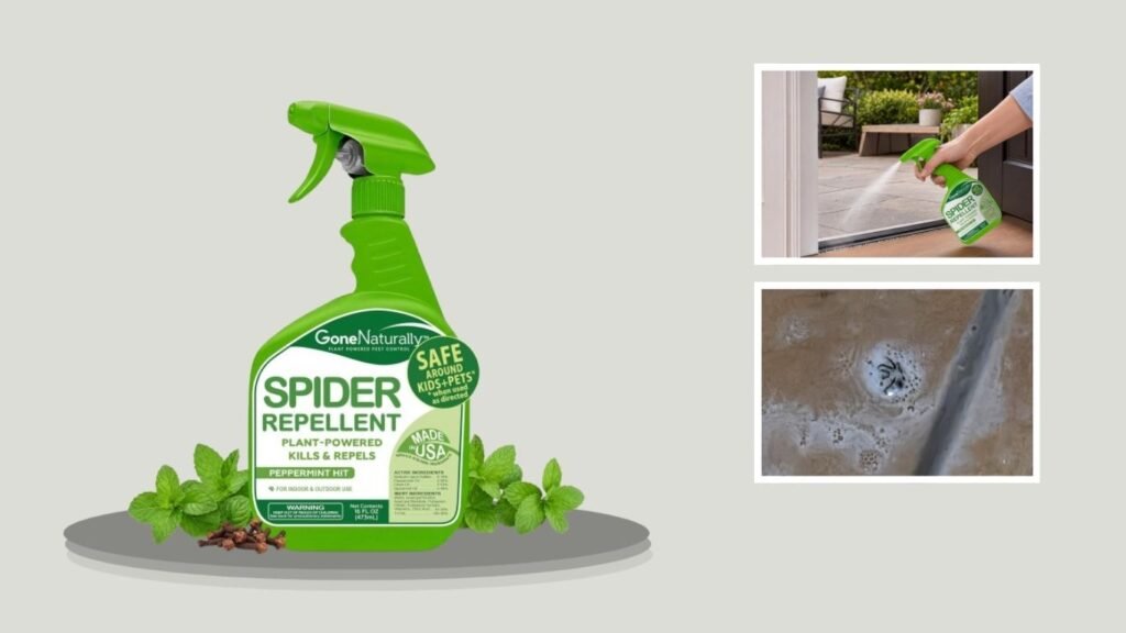 GoneNaturally Spider Repellent Peppermint Solution