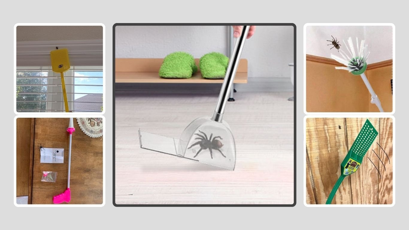 6 Best Long Handle Spider Catchers for Easy Bug Removal