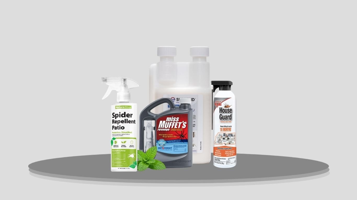 7 Best Long-Lasting Spider Repellents for Indoor and Outdoor Use