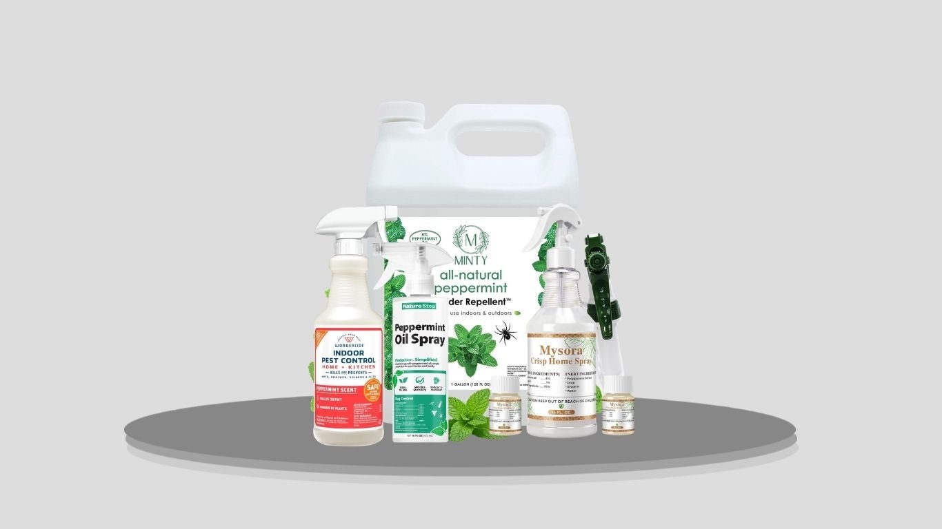9 Best Peppermint Oil Spider Repellents for Indoor & Outdoor Use
