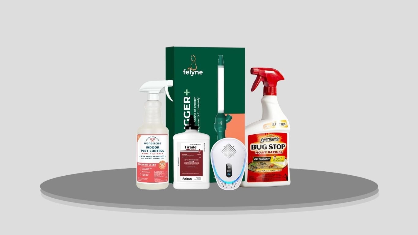 11 Best Spider Exterminator Products for Indoor and Outdoor Control