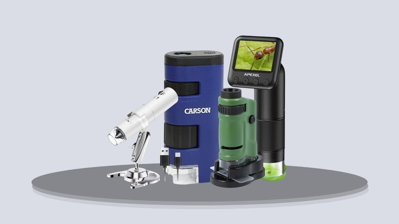 6 Best Pocket Microscopes for Insects and Close-Up Observation