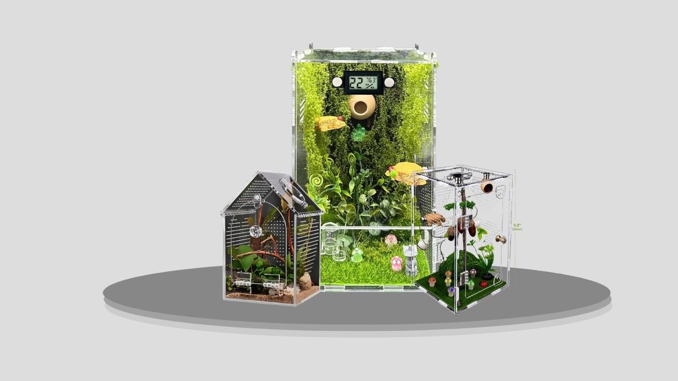 9 Best Spider Terrariums for Safe and Comfortable Housing